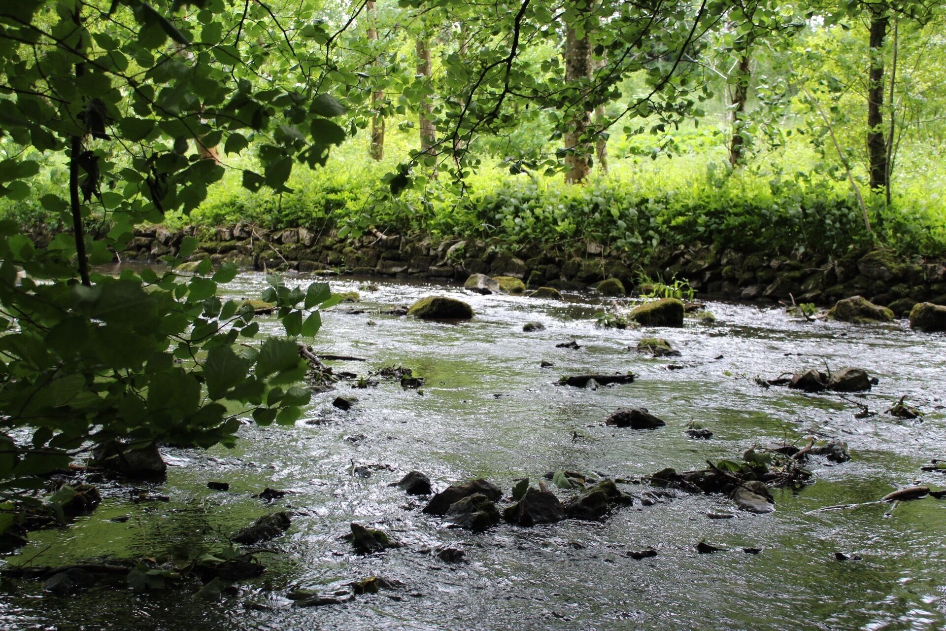 River photo at loggerheads afternoon walk with my cannon #river #loggerheads #beautifulnature #lovelywalks