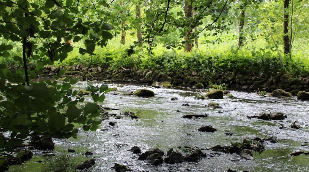 River photo at loggerheads afternoon walk with my cannon #river #loggerheads #beautifulnature #lovelywalks