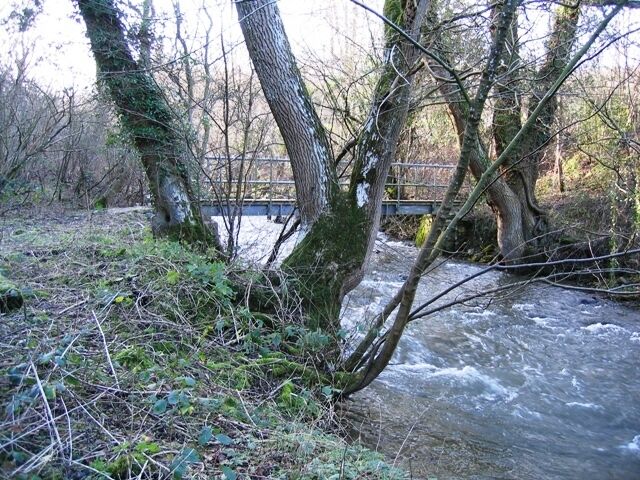 Footbridge over the Afon Alun/River Alyn Some years ago this footbridge was washed away by floods, but it looks solid enough now.