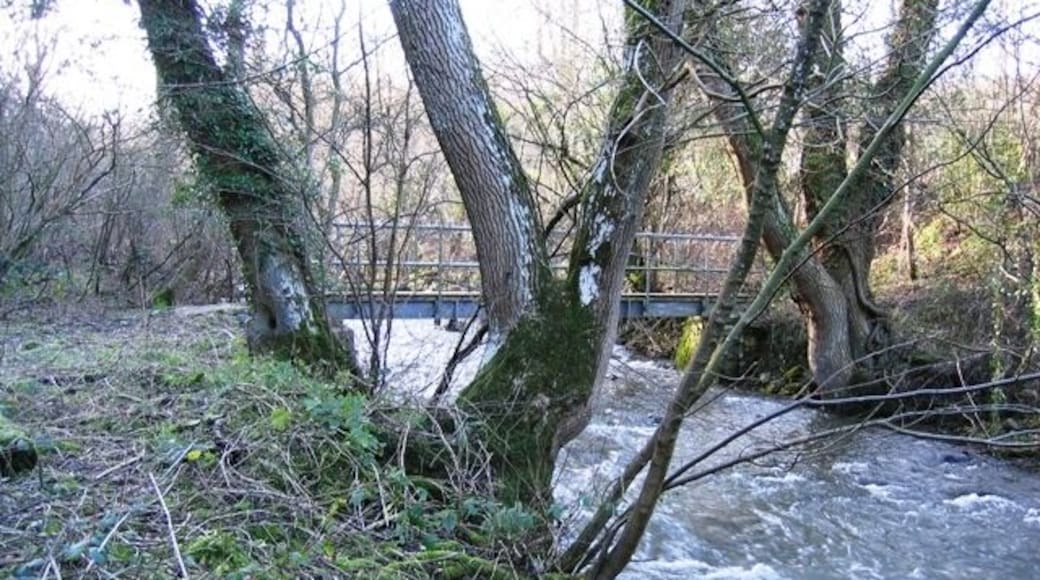 Footbridge over the Afon Alun/River Alyn Some years ago this footbridge was washed away by floods, but it looks solid enough now.