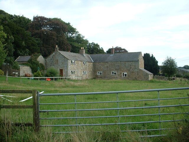 Celyn farm. Looking east.