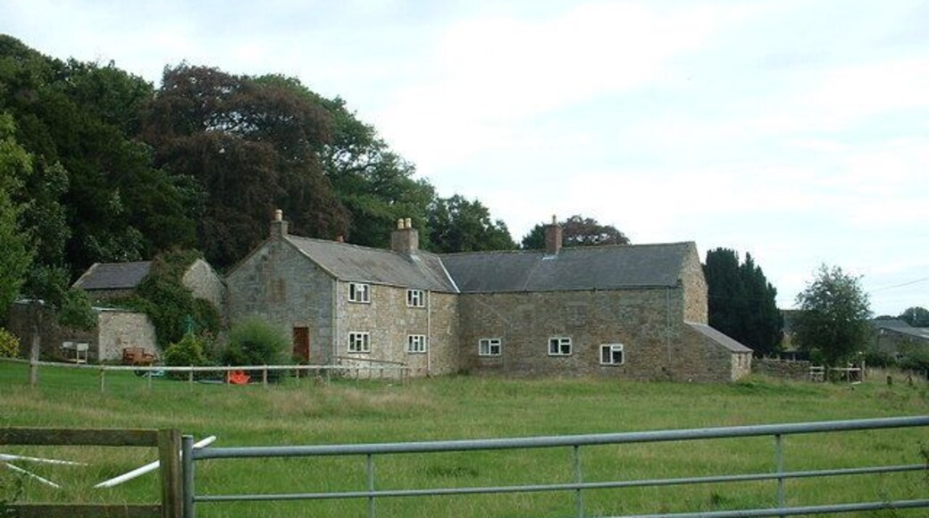 Celyn farm. Looking east.