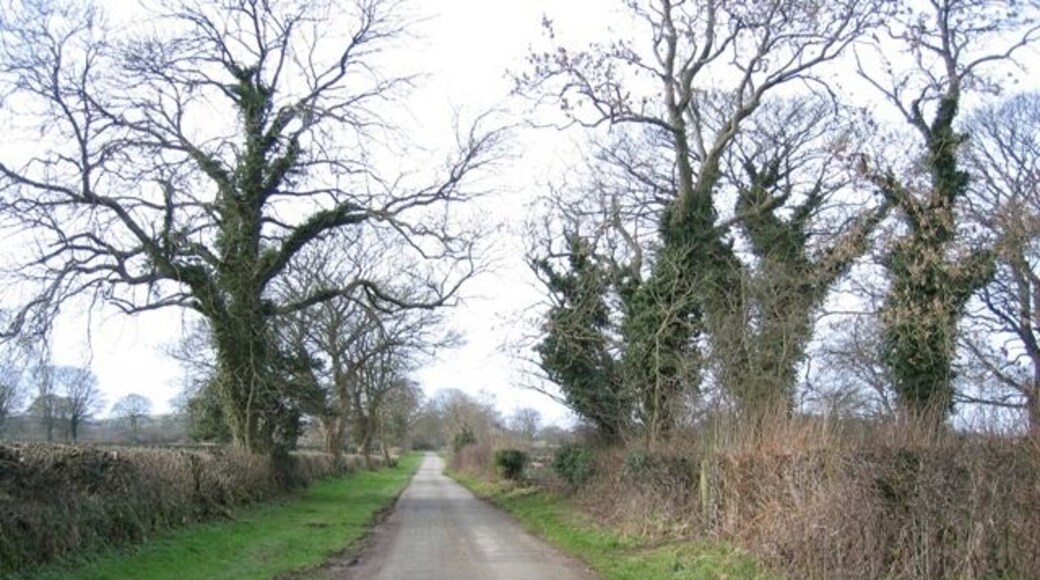 Minor Road towards Frith This wide lane is in contrast to the many narrow, steep sided lanes in the area.