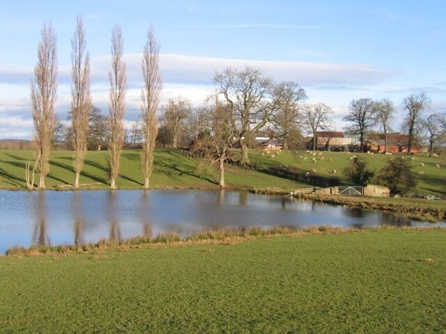 Lake at Plas Newydd Farm This lake is functional as well as attractive, providing water for the flock of sheep which graze these fields.