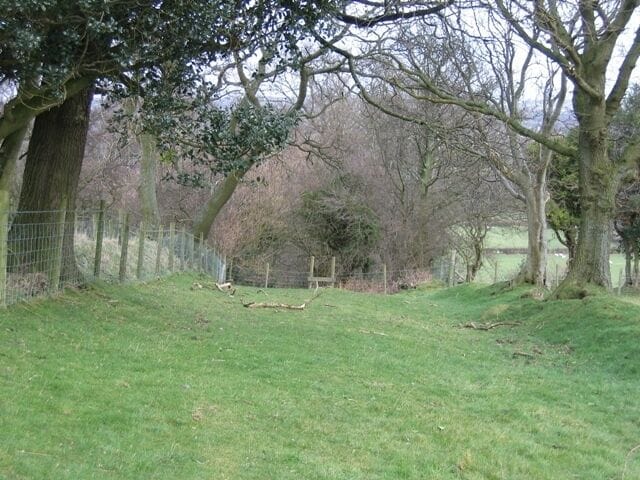 Ancient Trackway below Bryn Golau Looking back over the stile at 337610 and towards the overgrown track 347300 . This wide track between two tree lines and banks certainly looks as though its origins are in the distant past.
