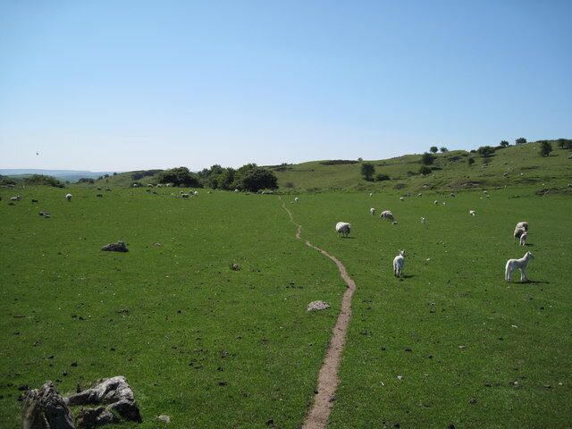 Un campo verde con un sendero de tierra, rocas dispersas y ovejas pastando.