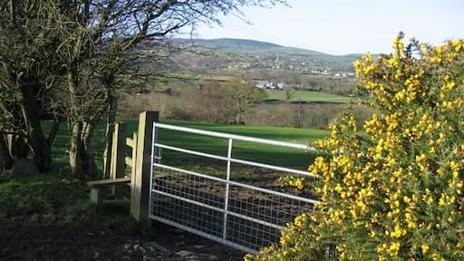 Field Gate at Pantymwyn A gate and stile with a view of the Clwydian Hills and with the gorse in flower. The footpath from Pantymwyn goes down to the Leete path in the valley below.