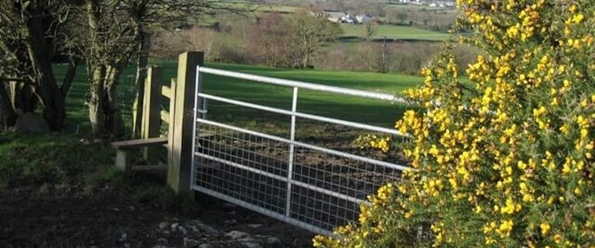 A rural landscape with a metal gate, trees, and a field.