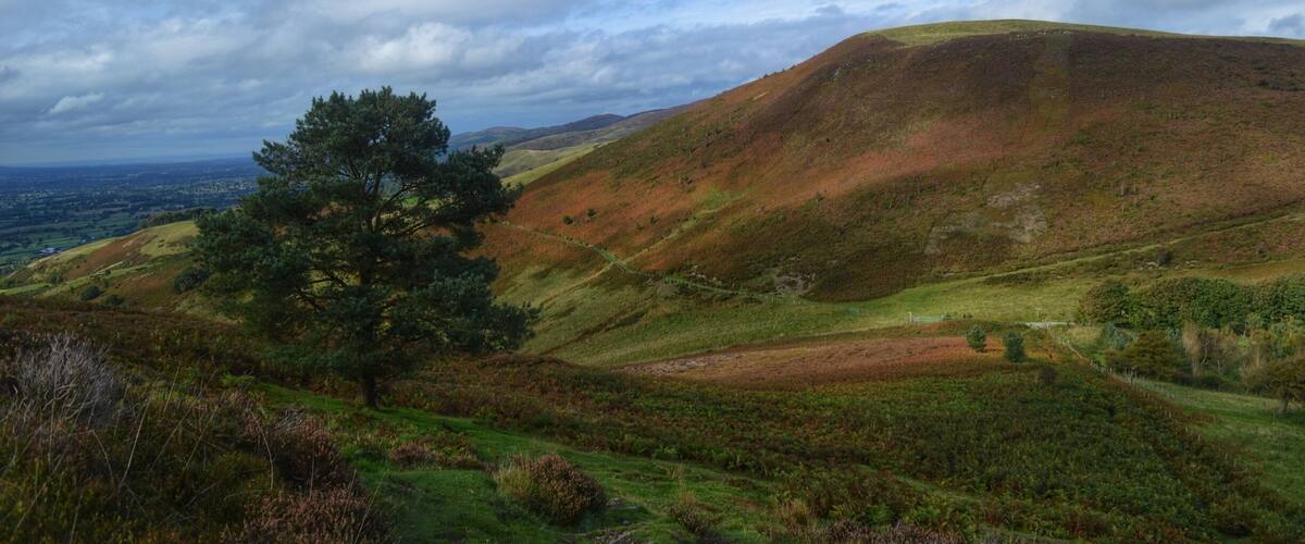 Natural beauty in the Clwydians