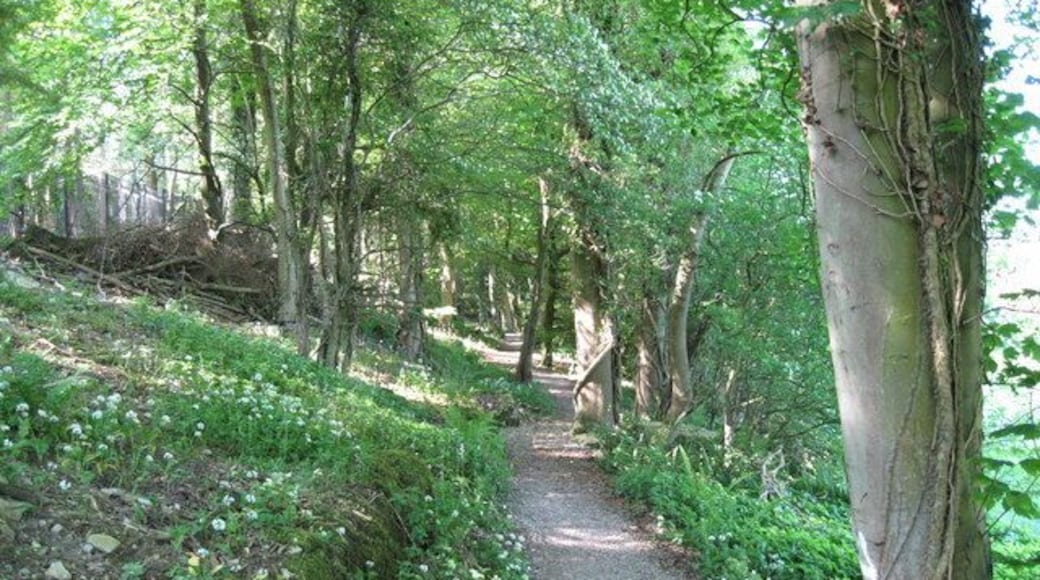 Clwydian Way at edge of Coed y Fedw The Clwydian Way has been rerouted slightly near Colomendy, probably due to the construction of a Go-Ape style woodland activity complex (which is behind the fence to the left of the photo). The path now continues on the edge of the woodland, before turning to the left to rejoin where the old Clwydian Way came out.