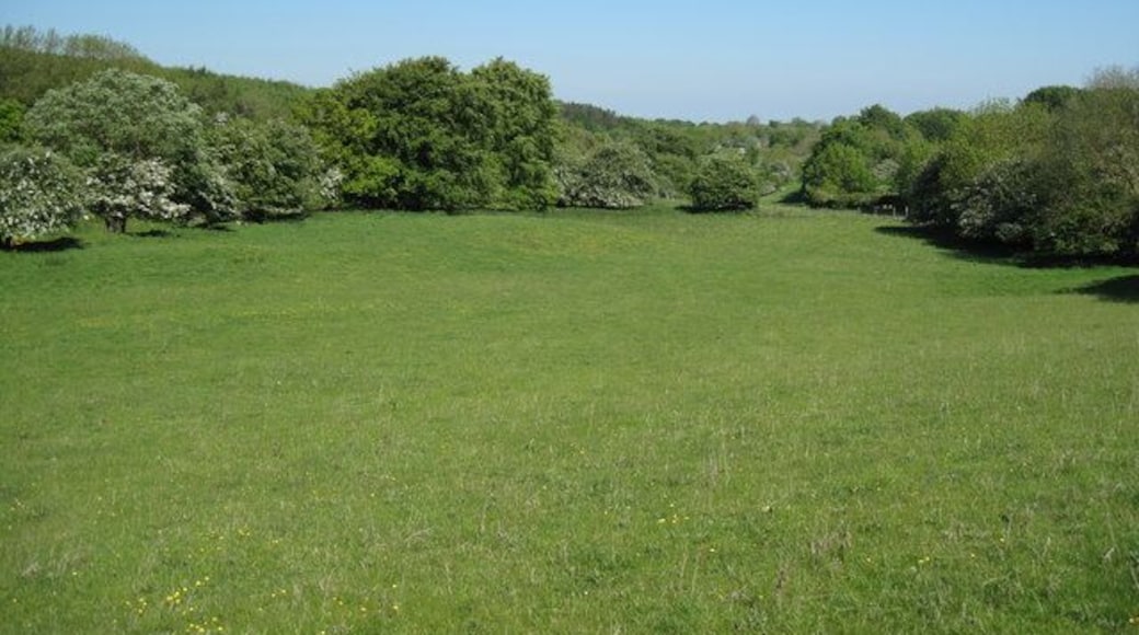 Clwydian Way The Clwydian Way crosses this field near Burley hill Quarry, which is just visible as a faint line across the field.
