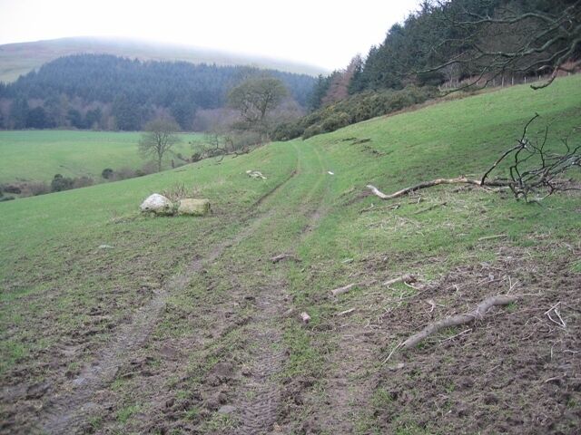 Old Track below Moel Evan This old track, at right angles to the footpath, heads for Plas-yw.