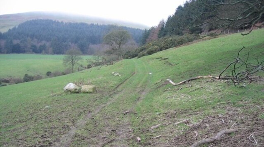 Old Track below Moel Evan This old track, at right angles to the footpath, heads for Plas-yw.