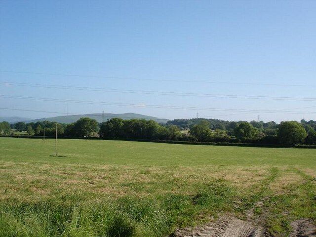 Farmland at Pen y Cefn. Looking over the fields towards the tree with the Clwydian range in the distance.