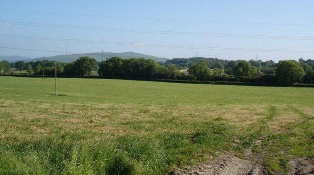 Farmland at Pen y Cefn. Looking over the fields towards the tree with the Clwydian range in the distance.