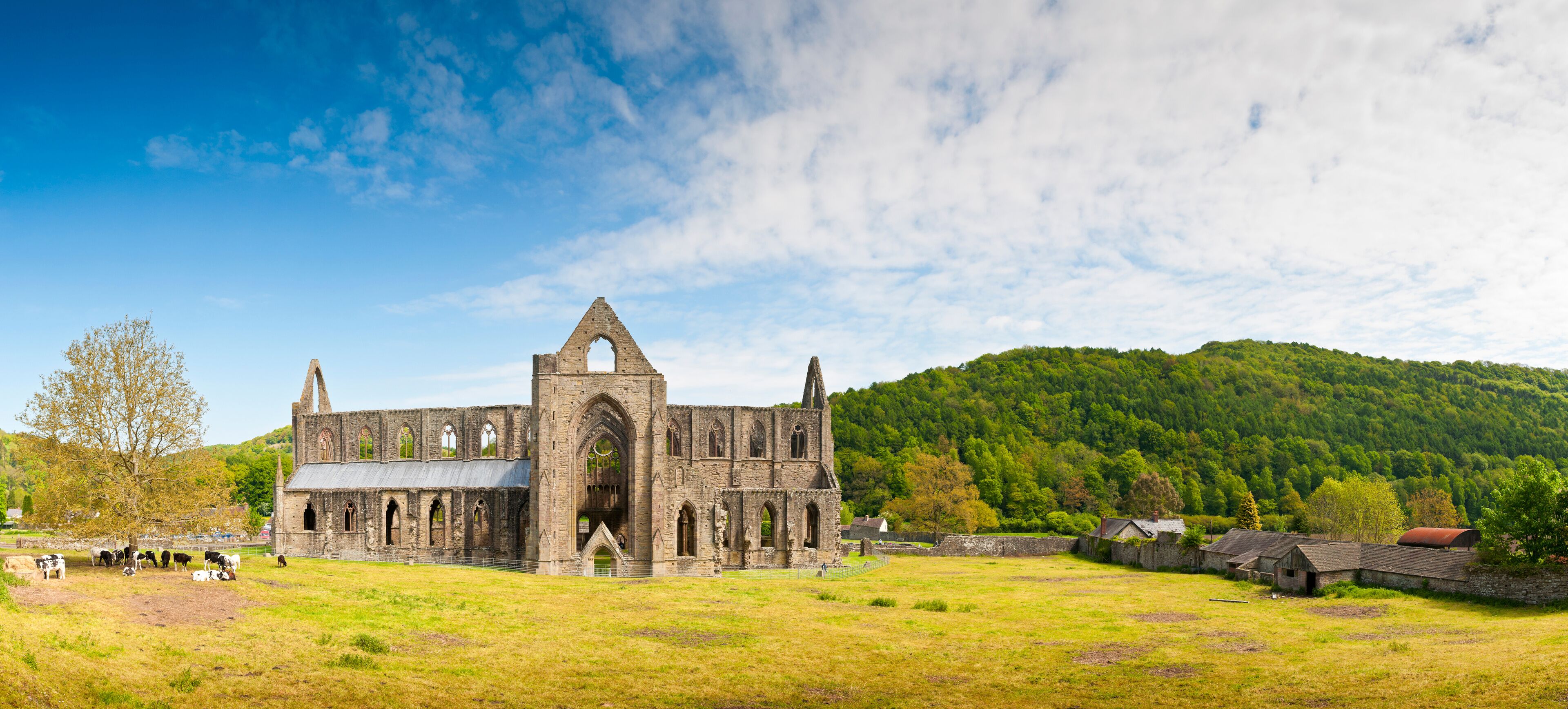 Ancient Ruins, Tintern Abbey, Wales, UK