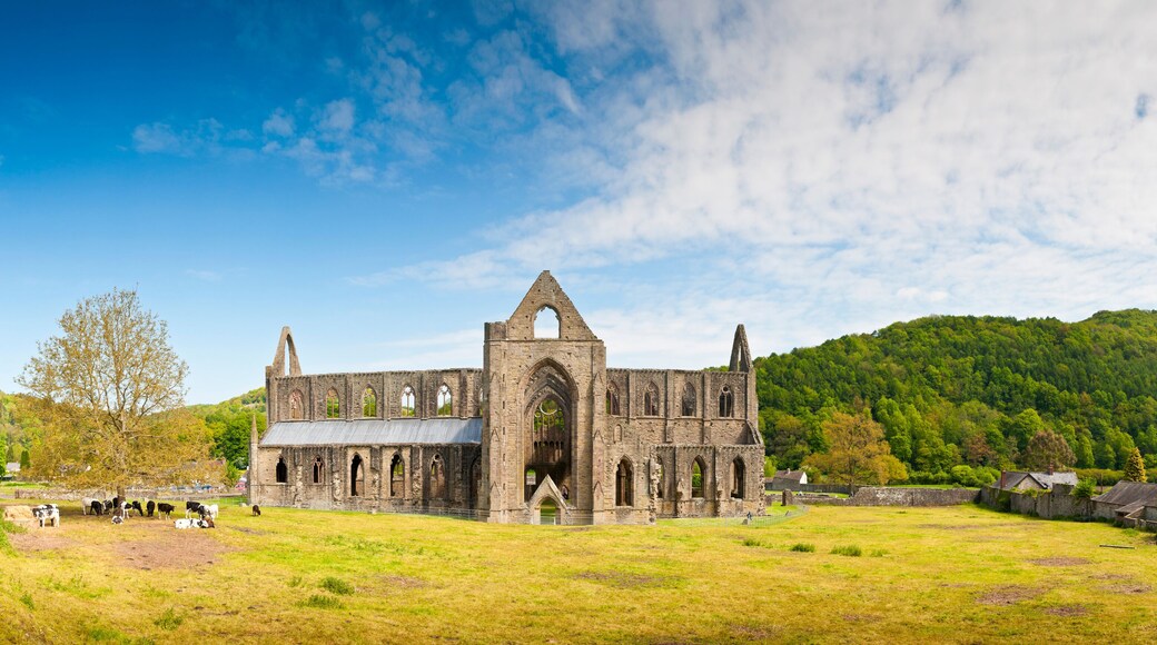 Ancient Ruins, Tintern Abbey, Wales, UK