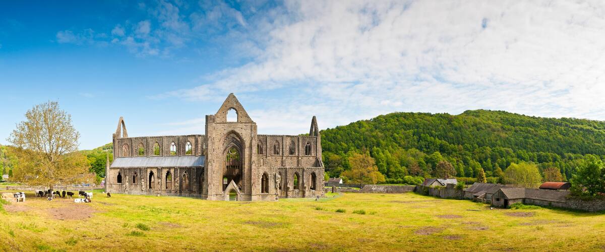 Ancient Ruins, Tintern Abbey, Wales, UK