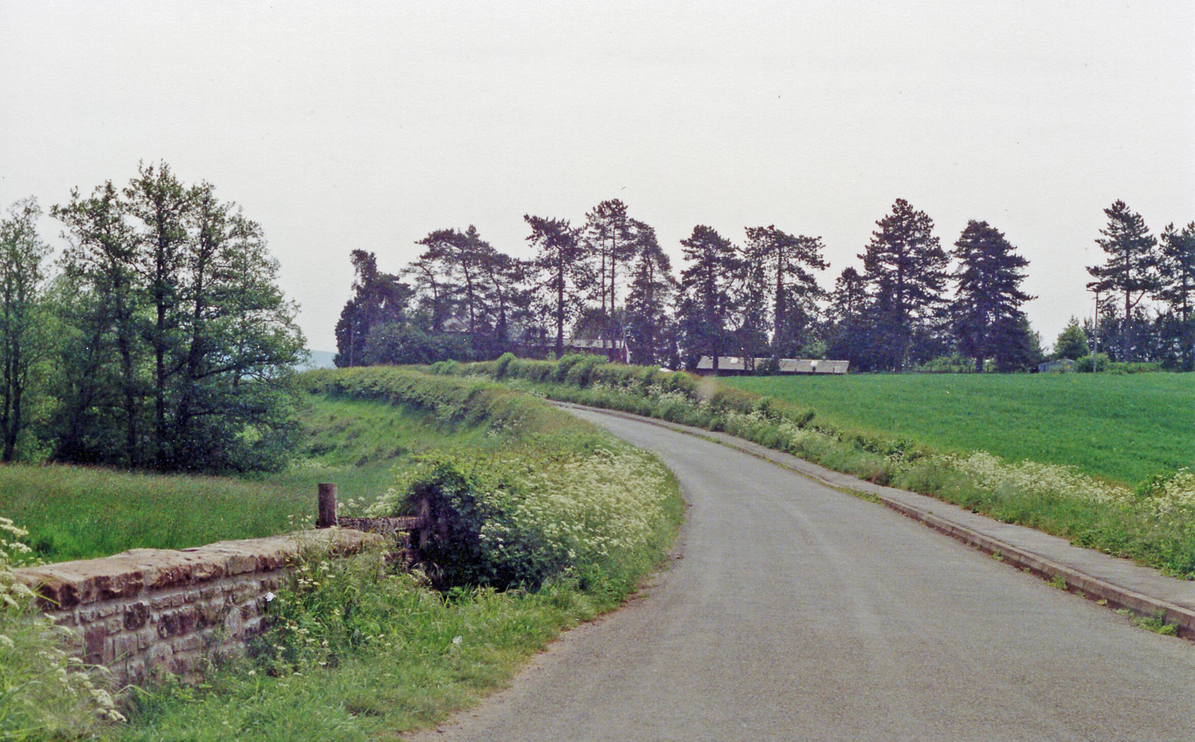 A rural road curving through a green landscape with trees and a stone wall on one side.