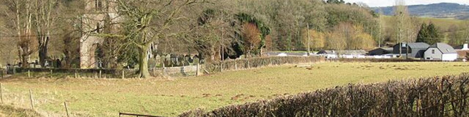 Pasture land, Dingestow With evidence of recent occupation by sheep. (It's still clinging to my boots). St. Dingat's Church sits North of the village. The buildings form part of the Bridge Farm holiday complex. Beyond is Mill Wood with its hidden motte. The yellowish trees are willows, close to the River Trothy. Note: Bridge Farm is named as Castle Farm on the map.