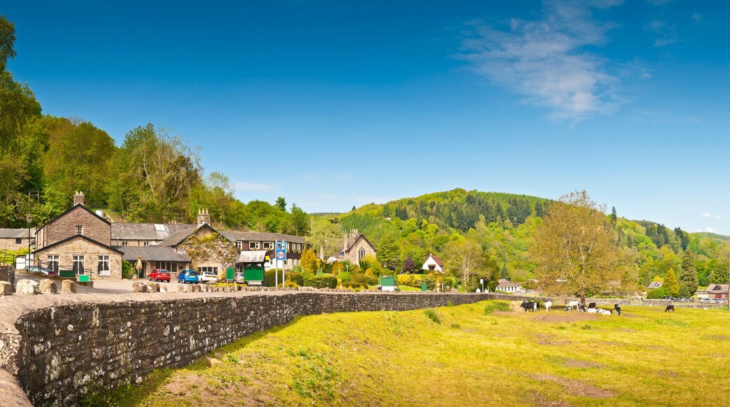 Ancient Ruins, Tintern Abbey, Wales, UK