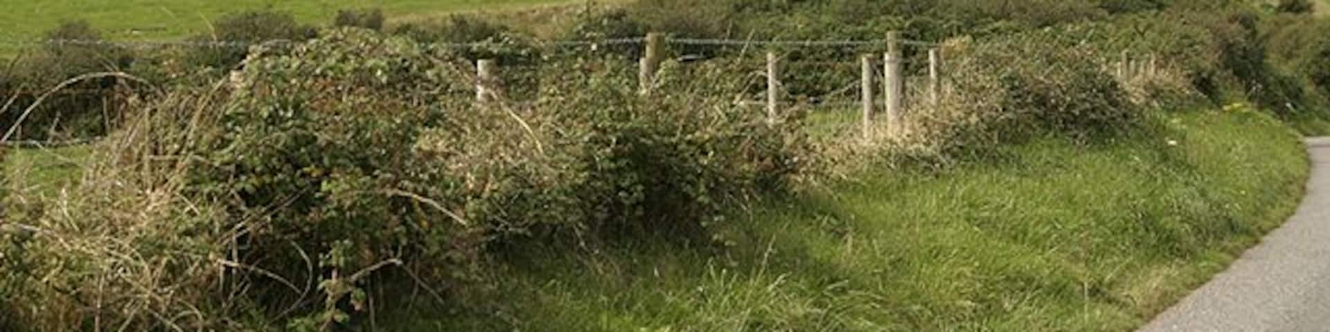 Back to Nature Don't know what used to be on this site. It's fenced off with barbed wire. Looked like it might have been military though it could also have been to do with the nearby oil refineries.