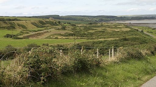 Back to Nature Don't know what used to be on this site. It's fenced off with barbed wire. Looked like it might have been military though it could also have been to do with the nearby oil refineries.
