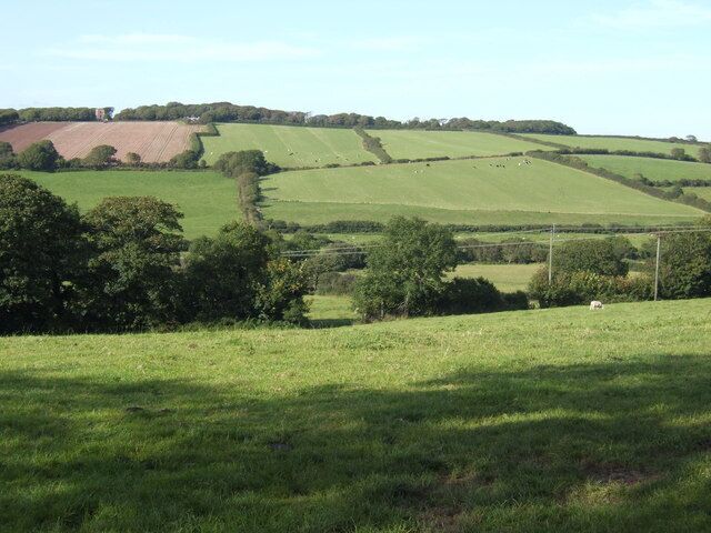 Countryside north of St. Twynnells The Orielton Tower folly can be seen on the hill in the distance.