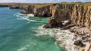 A coastal cliff with clear turquoise waters and a grassy landscape.