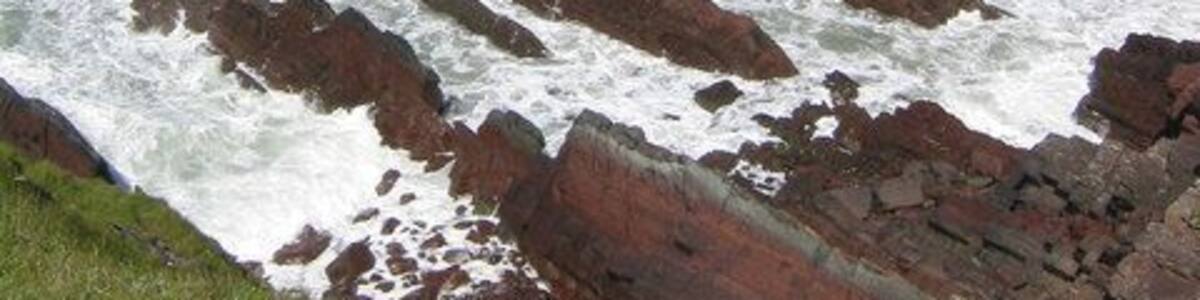 Rat Island from along the coast