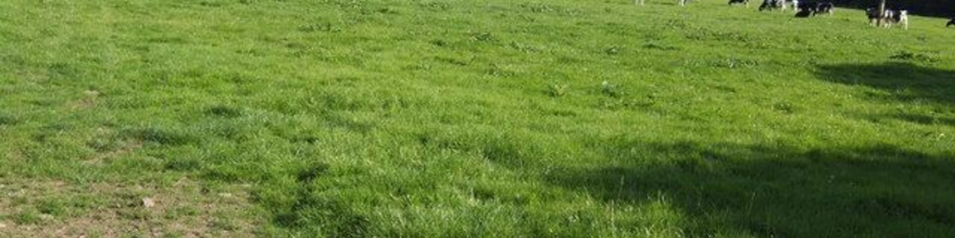 View south from Axton Hill Over rolling South Pembrokeshire countryside.