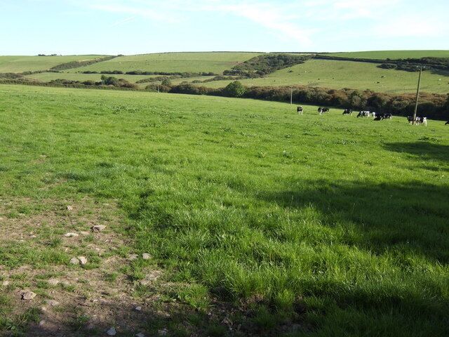 A green field with cows grazing and rolling hills in the background.