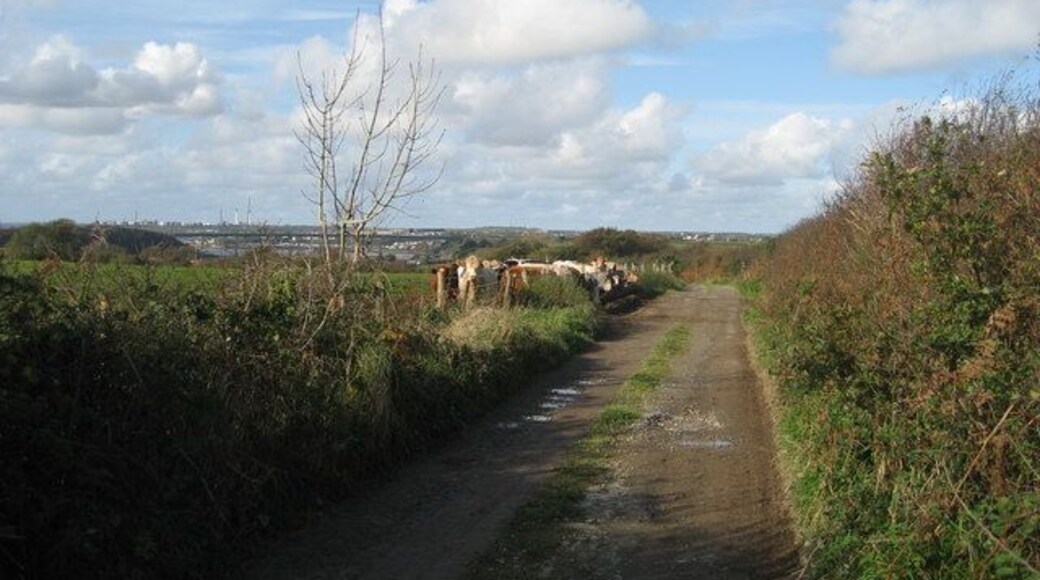 Lane leading to the shore Oil refinery in the distance