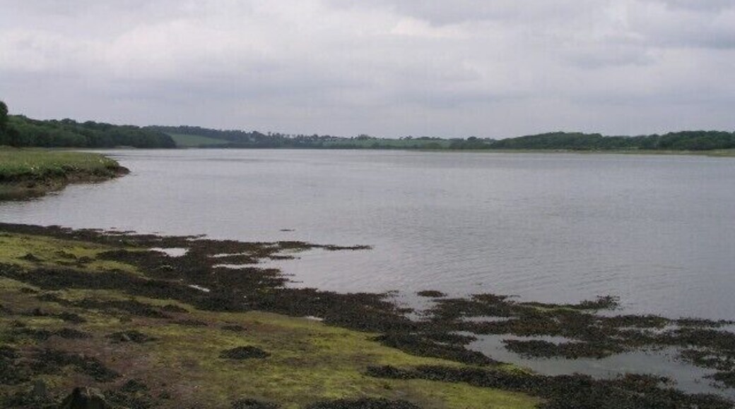 Carew river from Upton Taken from the footpath from Paskeston Hall.