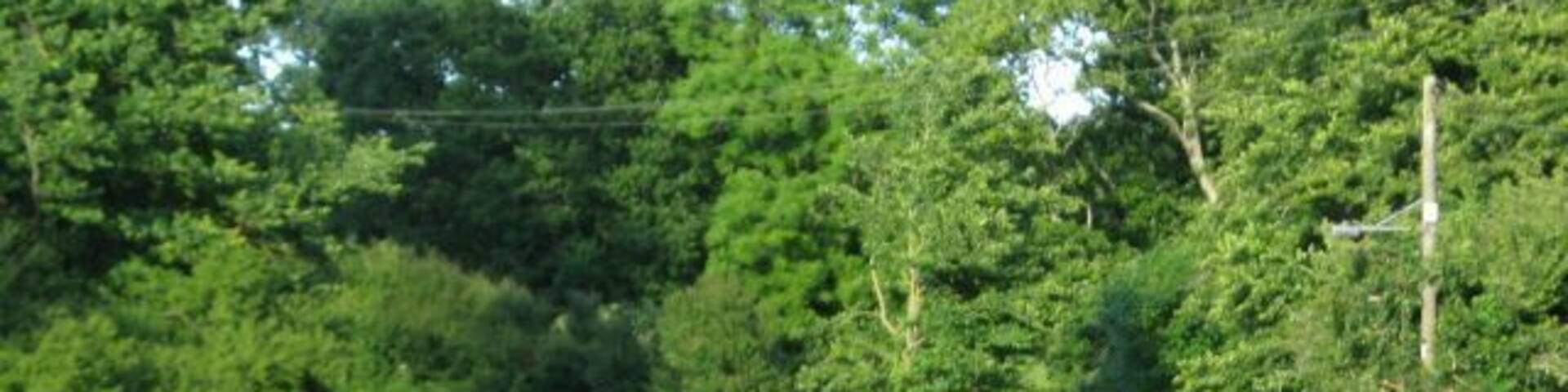 Cosheston Bridge. The view from the bench can be seen at 874169.