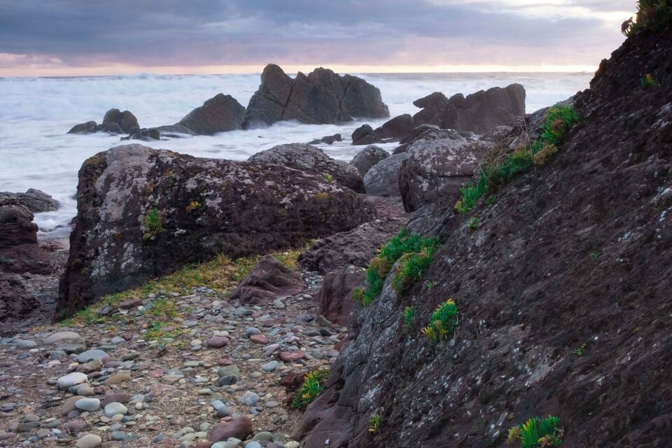 Une côte rocheuse parsemée de gros blocs et bordée d’une falaise escarpée.
