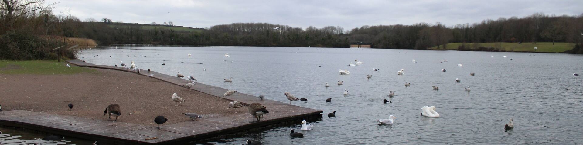 Bring a telephoto lens