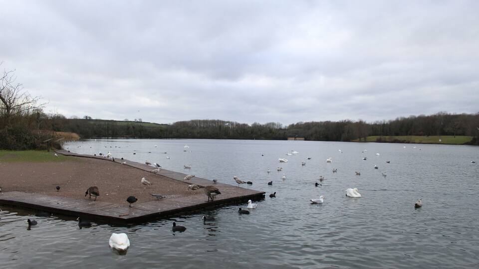 Bring a telephoto lens