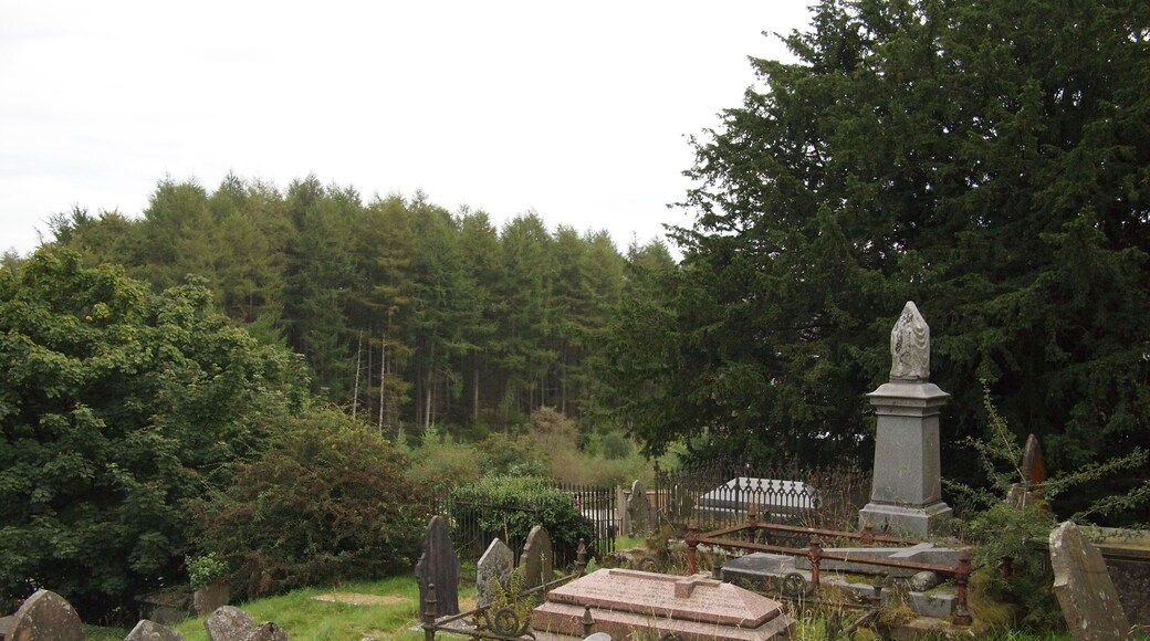 St Gwynno's Churchyard. 19th century gravestones in a sloping graveyard in a forest.
