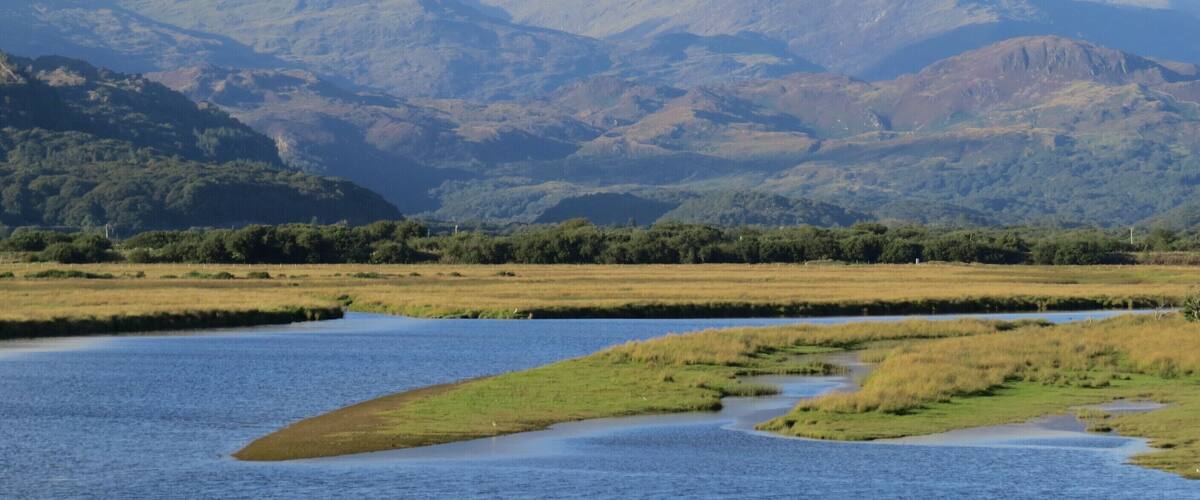 A river meandering through a valley with mountains in the background.