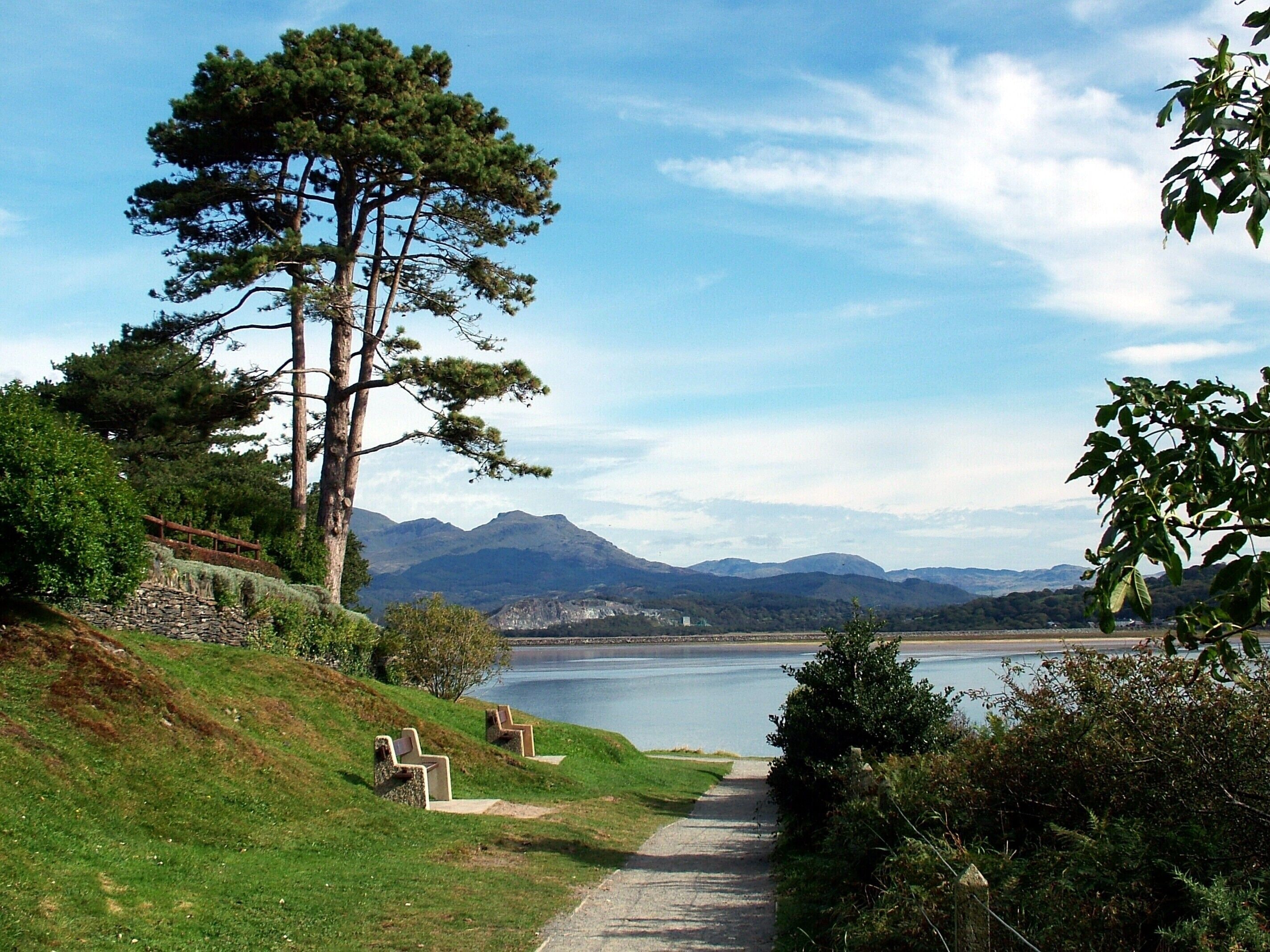 A pathway leading to a lake with mountains in the background and a large pine tree on the left.