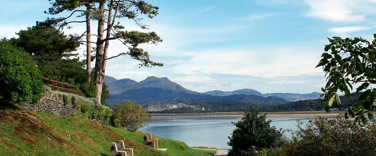A pathway leading to a lake with mountains in the background and a large pine tree on the left.