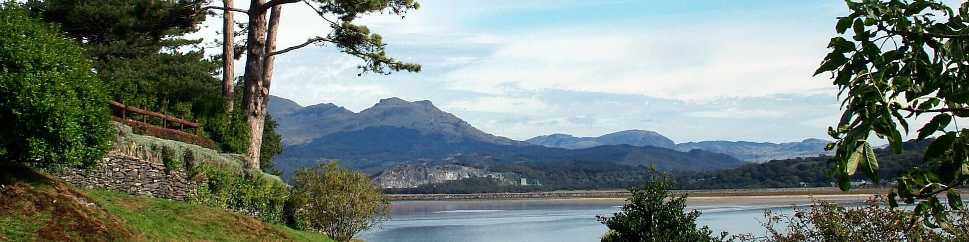 A pathway leading to a lake with mountains in the background and a large pine tree on the left.