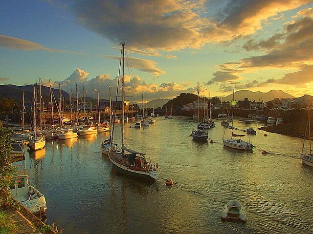 A marina with multiple sailboats docked at the pier.