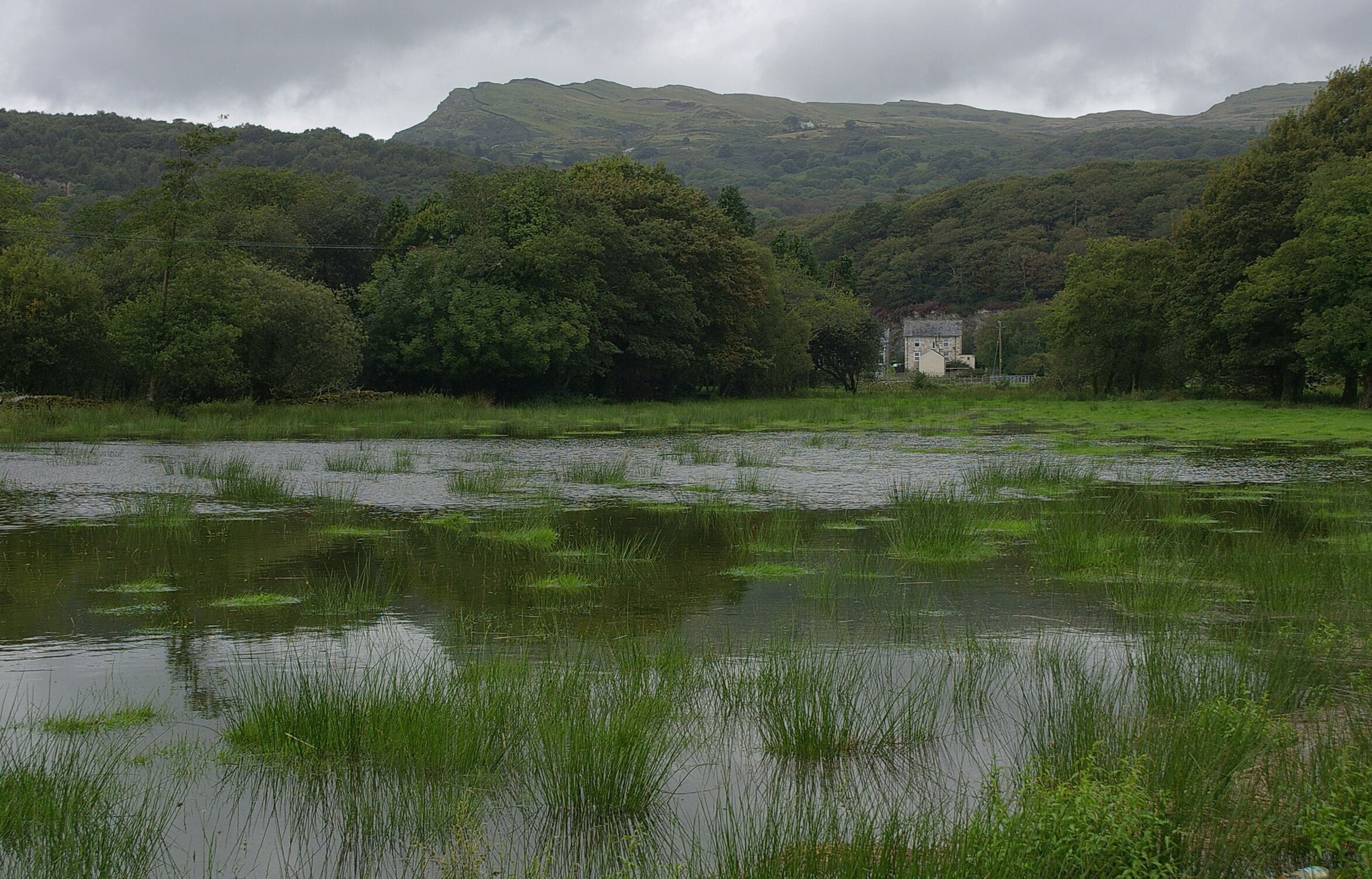 The Afon Glaslyn at Pont Croesor after some heavy rains. Flooded.