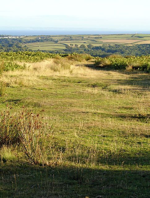 Cefn Bryn. Cefn Bryn is an Old Red Sandstone ridge in the centre of the Gower peninsula.
