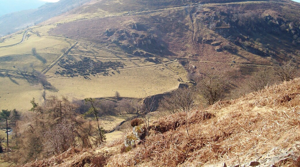 March in the Welsh hills Eastern flank of Yr Wylorn.