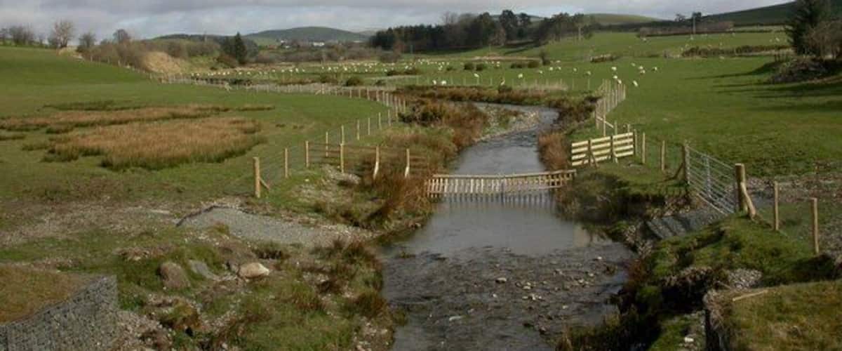 A rural landscape with a small stream, a wooden bridge, and fields.