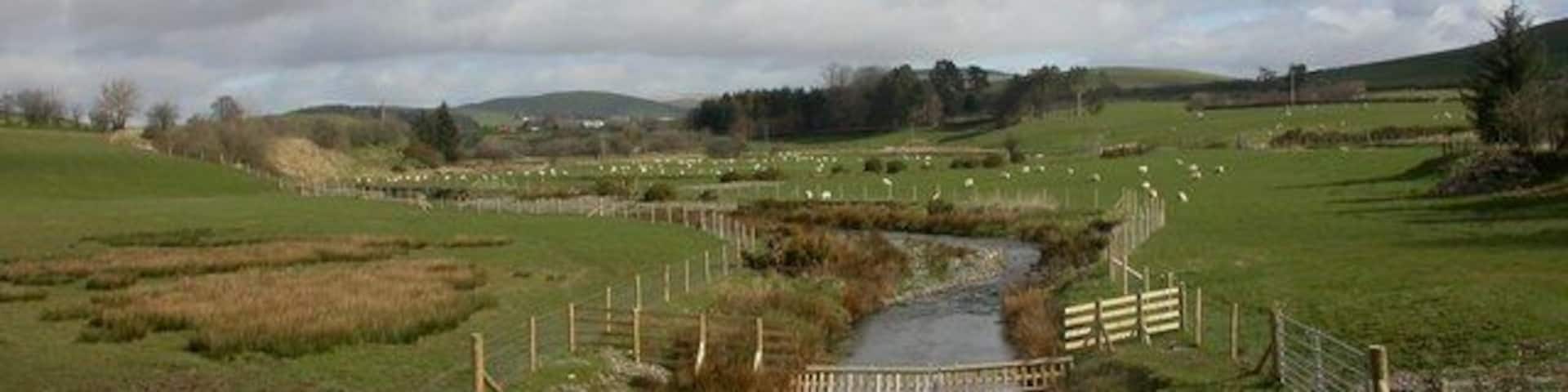 A rural landscape with a small stream, a wooden bridge, and fields.