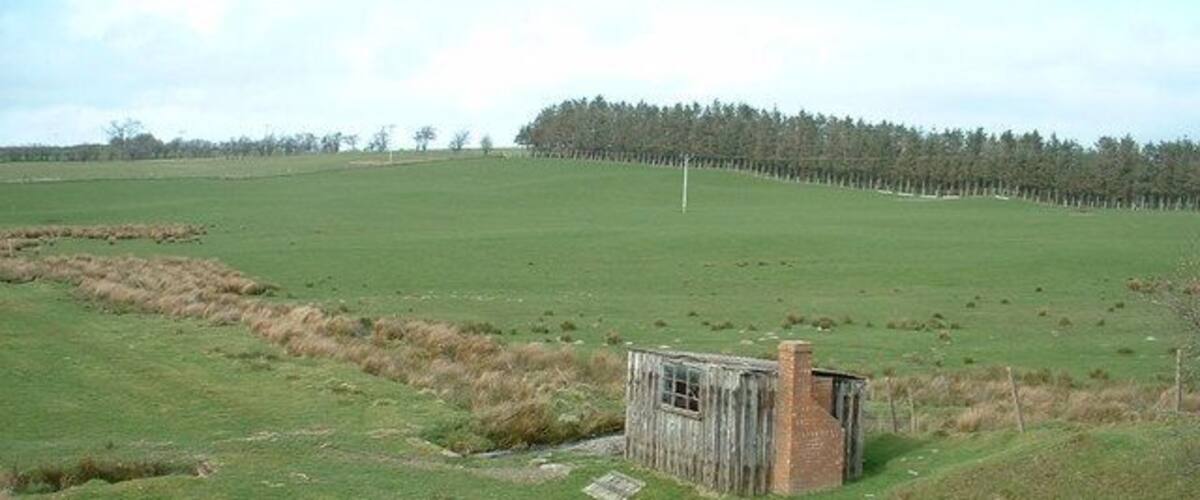 A rural landscape with a small wooden structure, a grassy field, and a line of trees in the background.